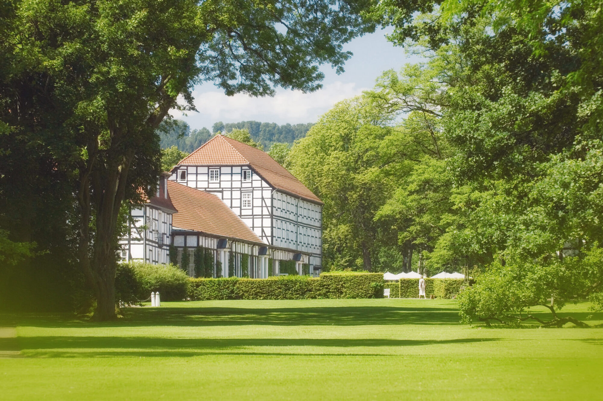 graeflicher-park-wiese