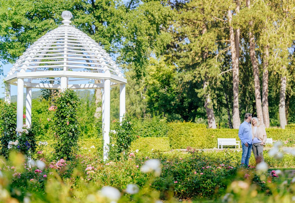 Rosengarten im Gräflicher Park