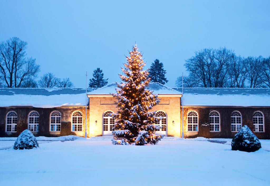 Parkweihnacht im Gräflicher Park Bad Driburg