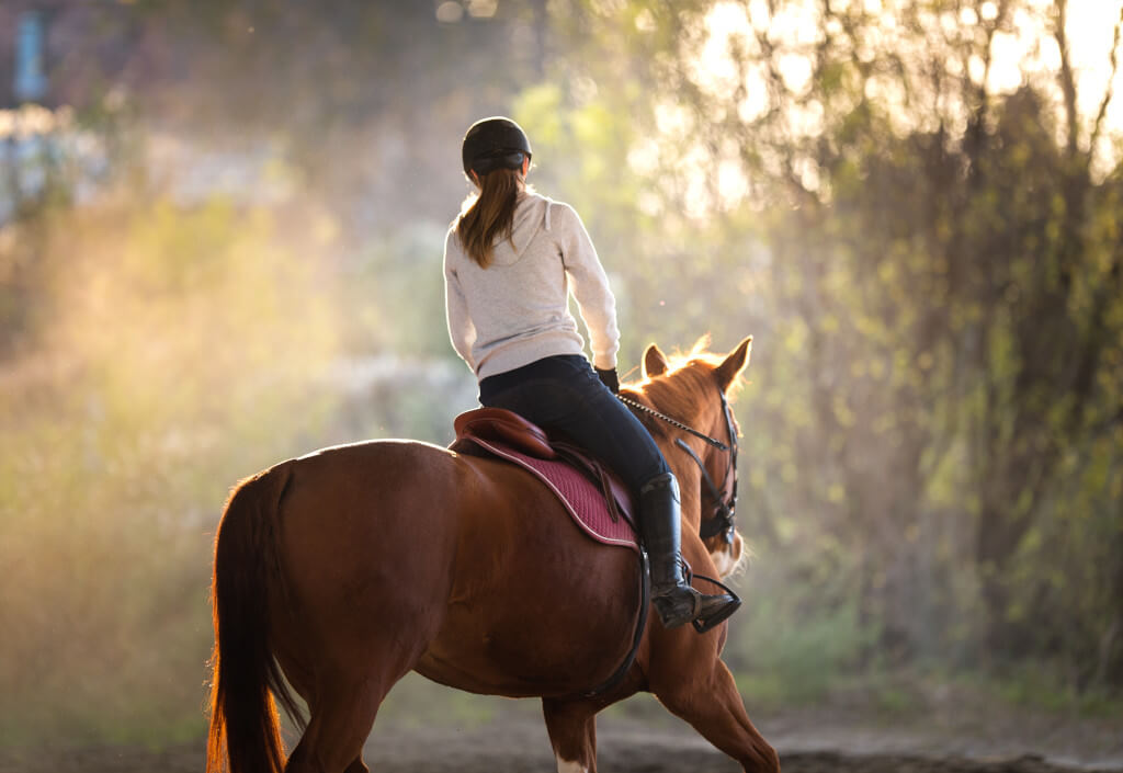 Ausreiten Ausritt Reiten