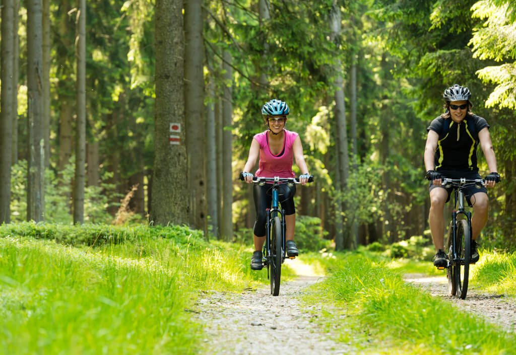 Radfahren im Wald