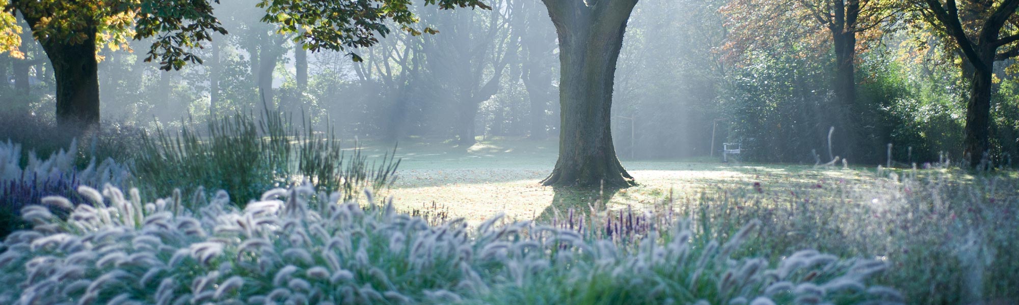 Englischer Landschaftgarten in Bad Driburg