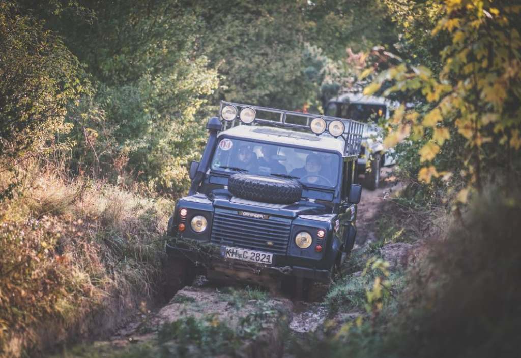landy3
