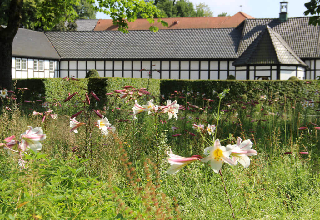 Lilienwiese von Parkdesigner Gilles Clement